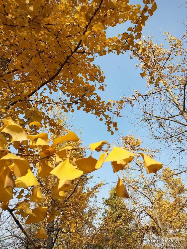 寻找秋天的足迹